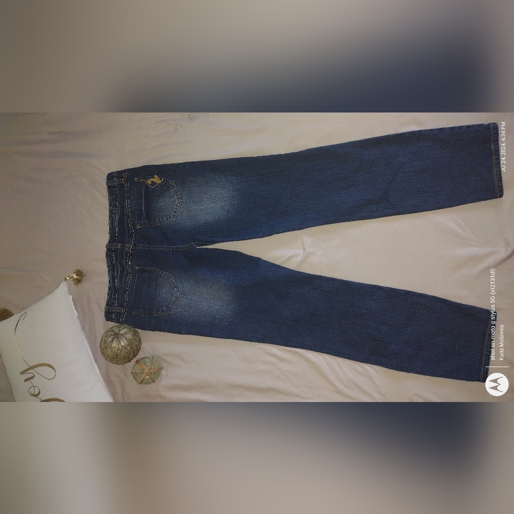 Women’s (Queen’s) Jeans - Phat Fashions Silver Label size 11 2/$10